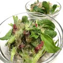 アイスプラントとプチプチ海藻麺のサラダ